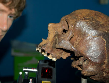 Research on skull from the warship, the Mary Rose 